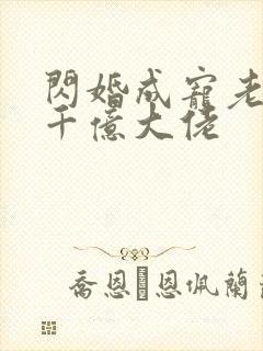 闪婚成宠老公是千亿大佬