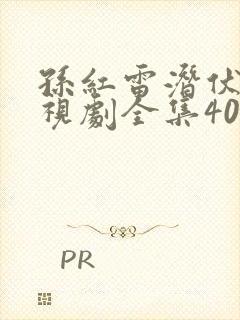 孙红雷潜伏者电视剧全集40集,免费观看