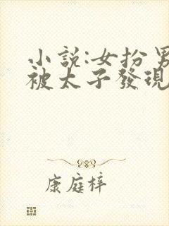 小说:女扮男装被太子发现后