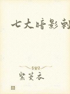 七大暗影刺客封面
