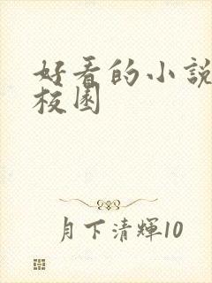 好看的小说言情校园