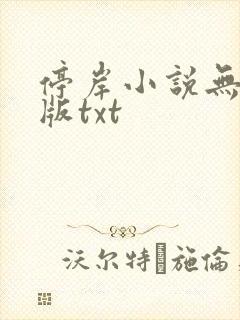 停岸小说无删减版txt
