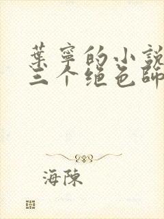 叶宁的小说我有三个绝色师父