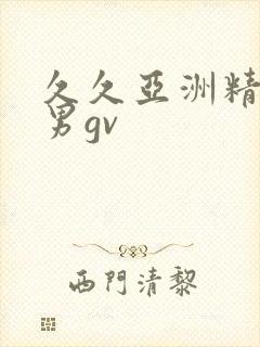 久久亚洲精品男男gv
