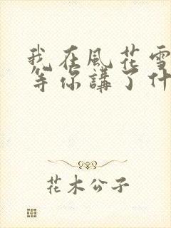 我在风花雪月里等你讲了什么