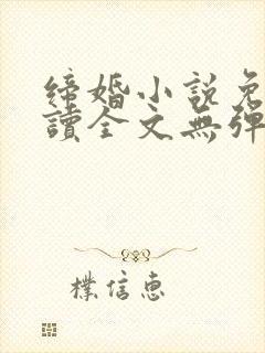 缔婚小说免费阅读全文无弹窗