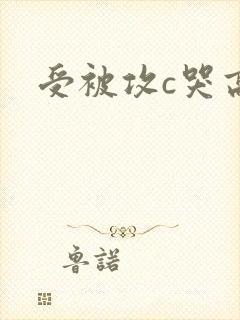 受被攻c哭高h