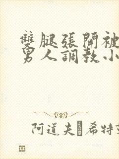 双腿张开被9个男人调教小说