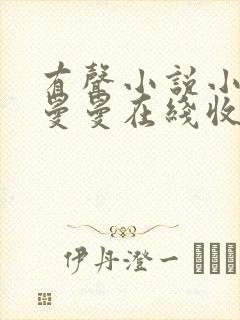 有声小说小苮儿曼曼在线收听全集