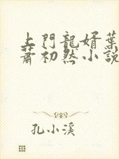 上门龙婿叶辰和萧初然小说