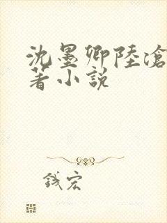 沈墨卿陆沧鸣原著小说封面