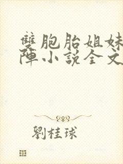 双胞胎姐妹齐上阵小说全文阅读