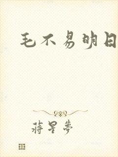 毛不易明日之子封面