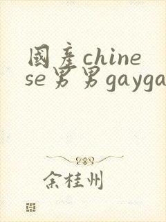 国产chinese男男gaygay网站, chinese