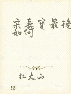 宋长宝最后结局如何封面