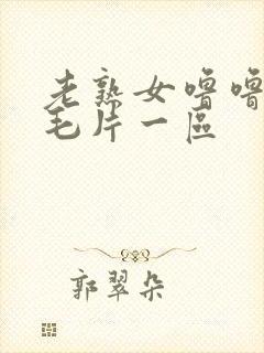 老熟女噜噜av毛片一区