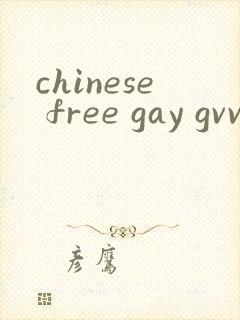 chinese free gay gvvideo