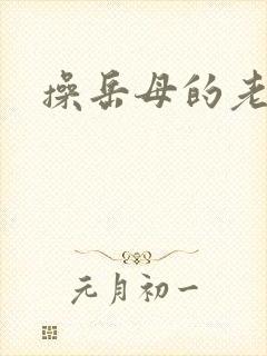 操岳母的老骚封面