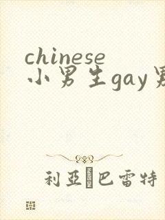 chinese小男生gay男男网站