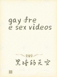 gay free sex videos封面