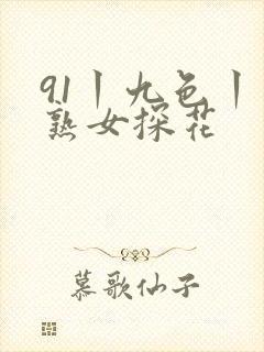 91丨九色丨老熟女探花