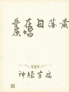 爱在日落黄昏时原唱封面