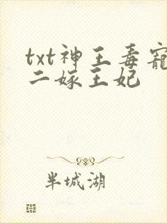txt神王毒宠二嫁王妃
