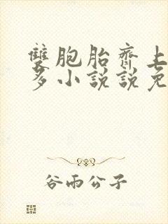 双胞胎齐上阵许多小说说免费