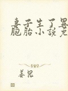 妻子生了异父双胞胎小说免费阅读