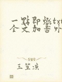 一点即燃txt全文加番外