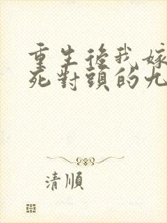 重生后我嫁给了死对头的九叔