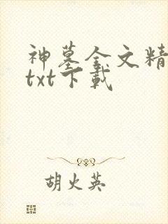 神墓全文精校版txt下载