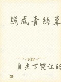 照成青丝暮成雪