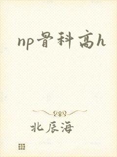 np骨科高h