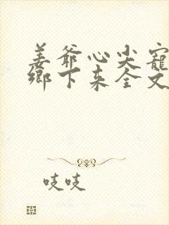 姜爷心尖宠她从乡下来全文阅读封面