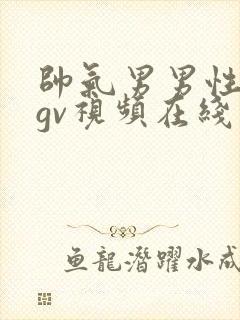 帅气男男性行为gv视频在线看