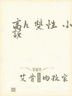 高h 双性 小说封面