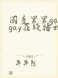 国产男男gaygay在线播放搜索
