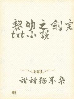 黎明之剑完整版txt小说封面