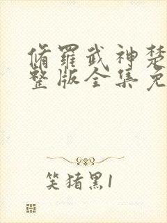 修罗武神楚枫完整版全集免费阅读