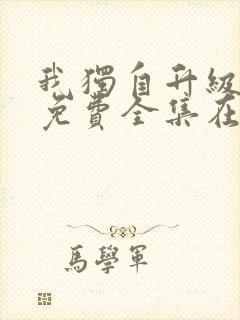 我独自升级漫画免费全集在线观看封面