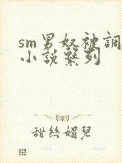 sm男奴被调教小说系列封面