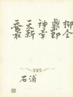 吞天神鼎柳无邪最新章节全文免费