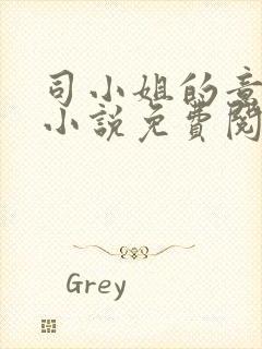 司小姐的意中人小说免费阅读全文最封面