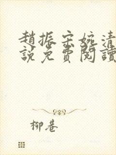 赵振宋婉清的小说免费阅读