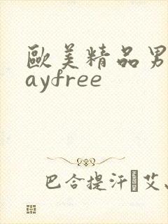 欧美精品男同gayfree