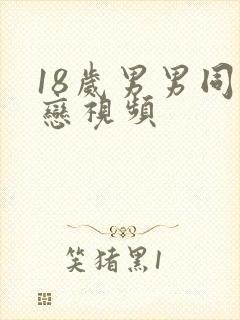 18岁男男同性恋视频