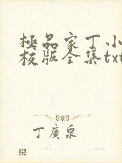 极品家丁小说精校版全集txt