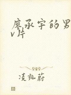 廖承宇的男男gv片