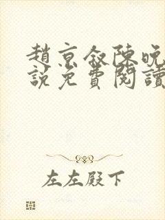 赵京叙陈晚的小说免费阅读封面